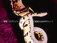 0001642_Japanese_Censored_MGS_19min
