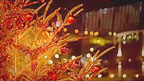 20171130_0075