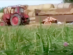 3way On The Hay Wagon