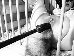 A Day In A Life Of A Kitten: Ep 1 - Squirting On Her Tail Bdsmlovers91