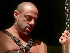 Adam and CJ in super got gay BDSM