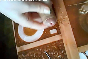 Amazing porn clip shemale Webcam exotic uncut