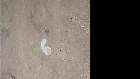 Anon Park Cumdump - CadeMaddox