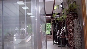 Arwen Gold And Stephanie Moon - A Man Called Two Harlots For A Group Anal Fuck
