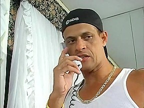 As panteras