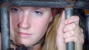 BDSM sub dominated in pillory before group