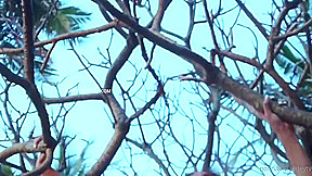 Best Adult Clip Big Tits Watch Show With Poonam Pandey