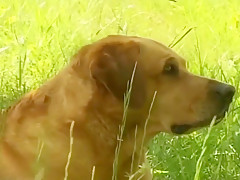 Best Of Sasha 1