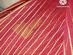 Bhabhi Boli Aaj Mera Pani Chat Chat Kar Nikalo Hindi Audio Mein