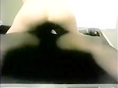 Big Circular Booty That Is White Driving Bbc
