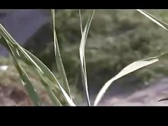 Bikini Babes Outdoor Masturbation 01