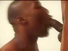 BlackBucksFuk