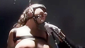 Bondage pony girl
