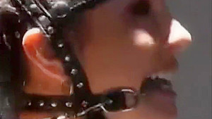 Bondage pony girl