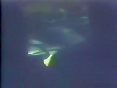 Booby Trap For Marine Goose