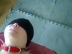 Bound asian slave sucks cock and rims asshole
