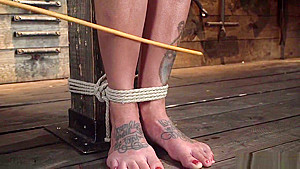 Brunette in rope bondage gets whipped