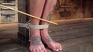 Brunette in rope bondage gets whipped