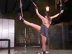 Busty and hairy hottie gets slave training