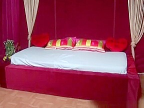 Busty hot ladies enjoyed an awesome threesome