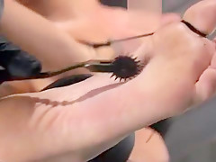 Busty slt slave pussy tormented
