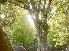 CVW138-TKUXVABTPS285644256
