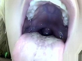 Camera inspection body and mouth