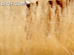 Charlotte Campana Sex Scenes