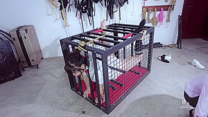 Chinese Bondage 1311