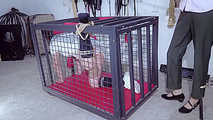 Chinese Bondage 1311