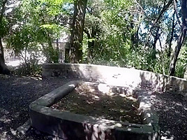 City trip blowjob in the park