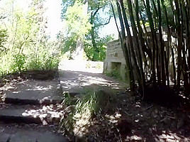 City trip blowjob in the park