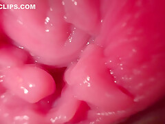 Close Up Wide Pussy Spreading And Dirty Talk