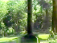 Couple Having Sensuous Sex in a Public Park