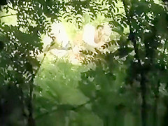Couple fucking in the nature