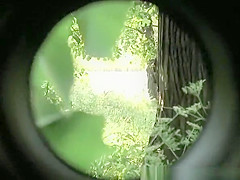 Couple under the trees sexual intercourse