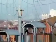 Couples fuck in the park