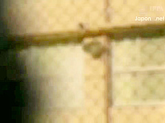 DPX020-NEXCPDGPFZ221991218