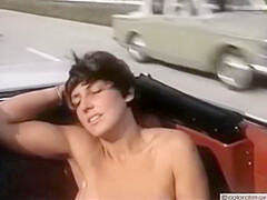 Delightful Lass - Car Fucking Movie
