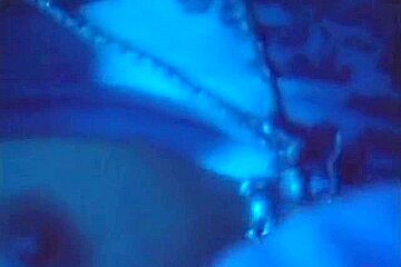 Dienstmadchen Suchen Schwanz (full Movie)