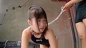 Dominated Tiny Asian Sucking Cock In Gangbang