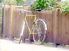 Dutch Vintage 1986