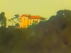 ECOLE POUR SALOPES TRES SPECIALES 1986