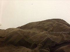 El coyote