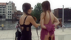 Euro beauty anal banged in public bar