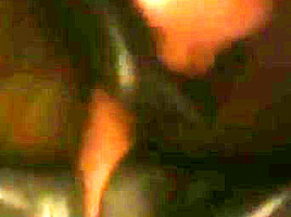Exploitedafricanimmigrants-4-8-217-eai-31-7-215-dbm-bizarr