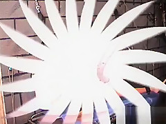 Extreme bondage in crazy scenes