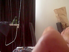 Fabulous Adult Clip Webcam Amateur Full Version