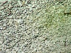 Fabulous Amateur movie with Beach, Nudism scenes