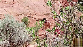 Fucking In Flintstones Land